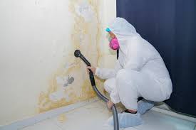 Best Residential Mold Inspection & Testing  in Corcoran, CA